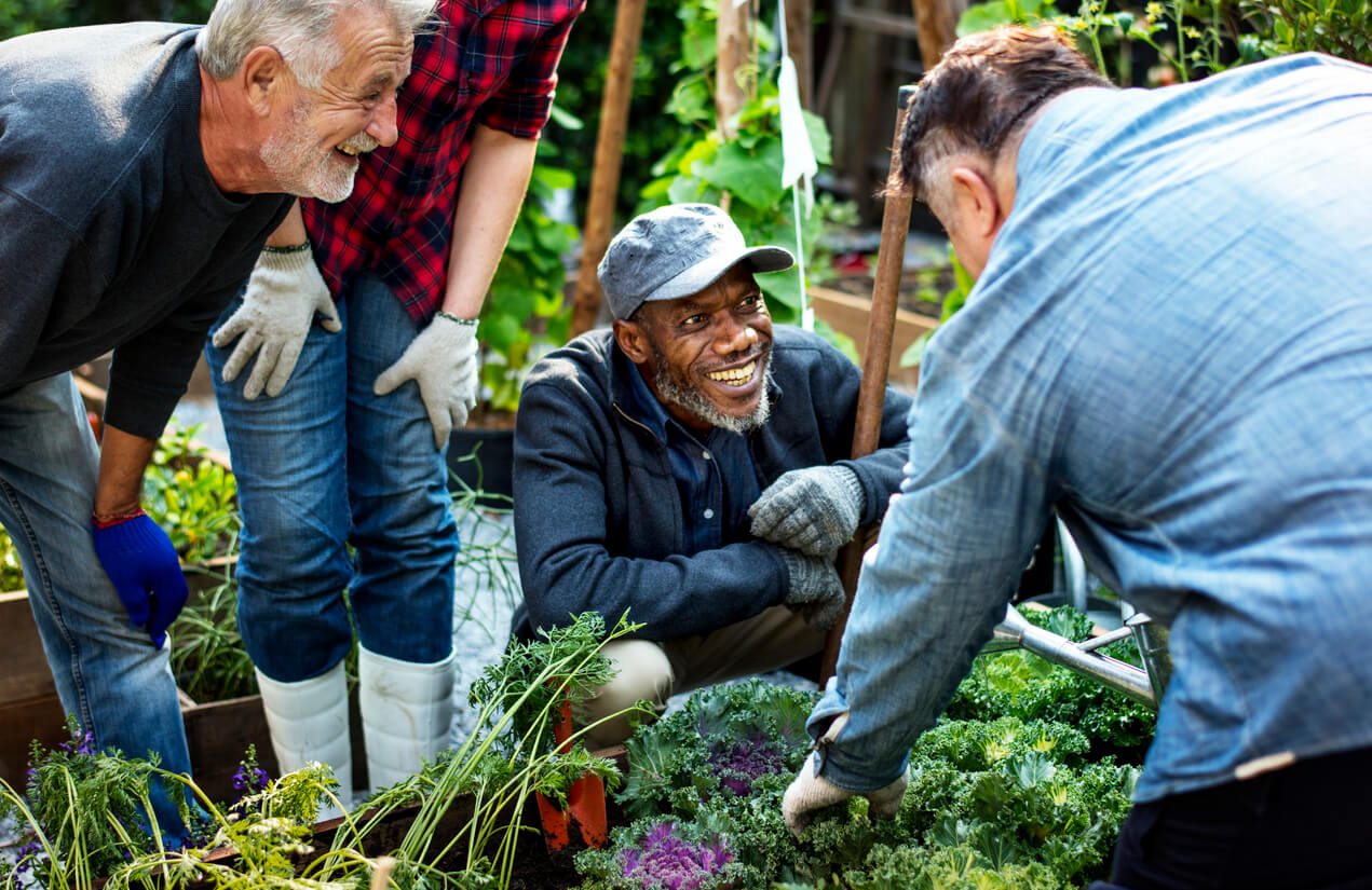 gardening-club